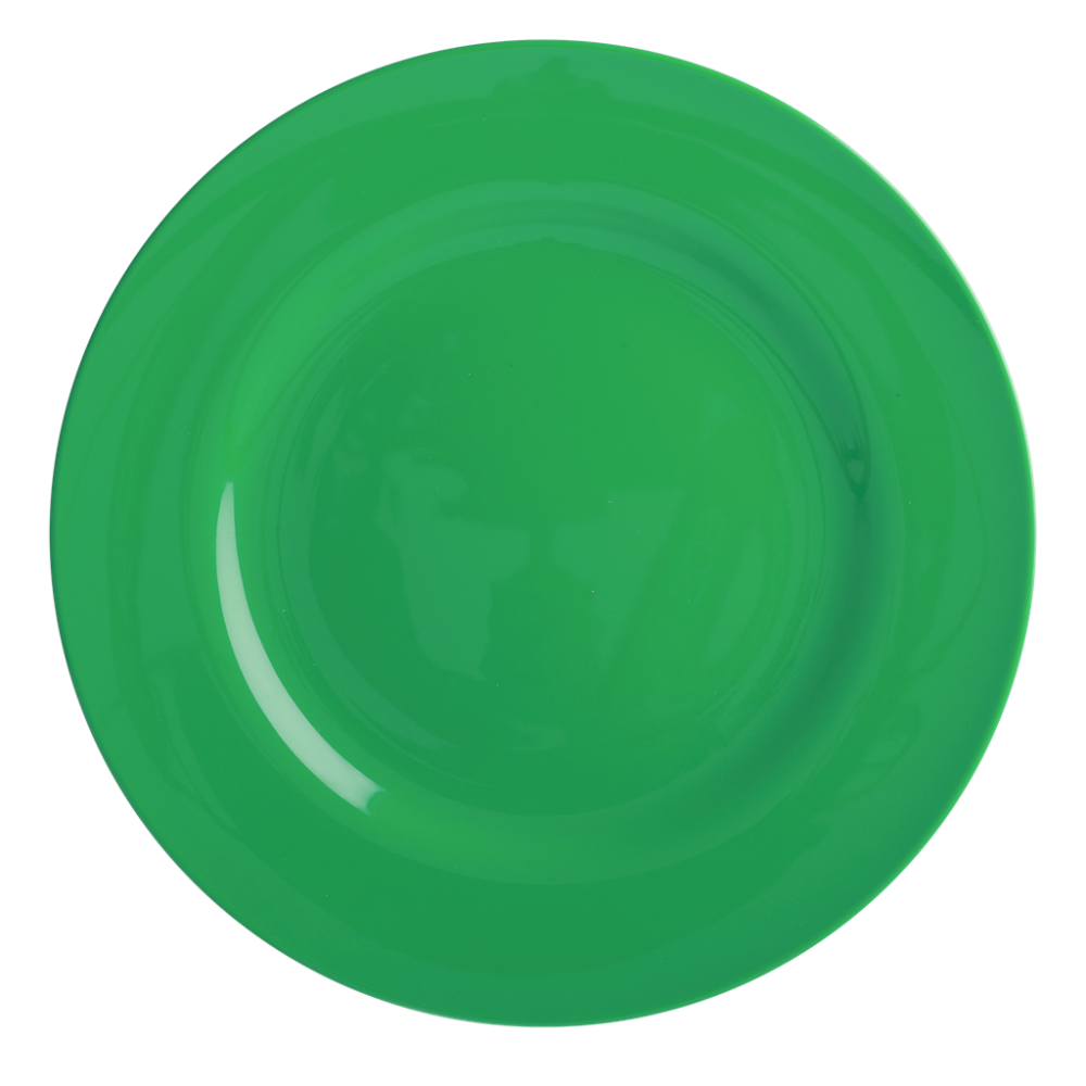 Forest Green Melamine Dinner Plate Rice DK